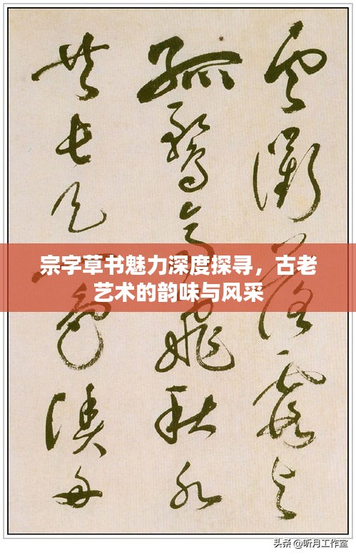 宗字草書魅力深度探尋，古老藝術(shù)的韻味與風(fēng)采