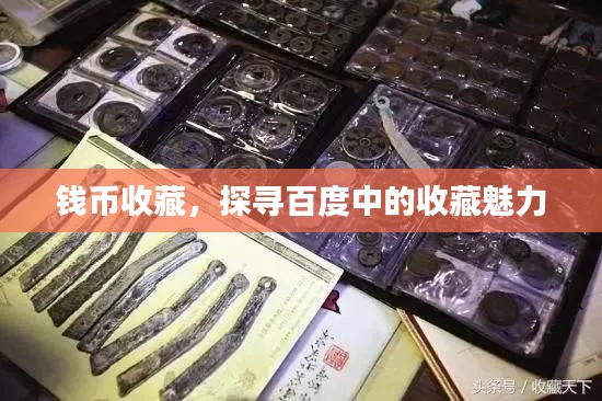錢幣收藏，探尋百度中的收藏魅力