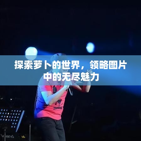 探索蘿卜的世界，領(lǐng)略圖片中的無(wú)盡魅力