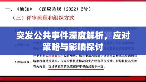 突發(fā)公共事件深度解析，應(yīng)對策略與影響探討
