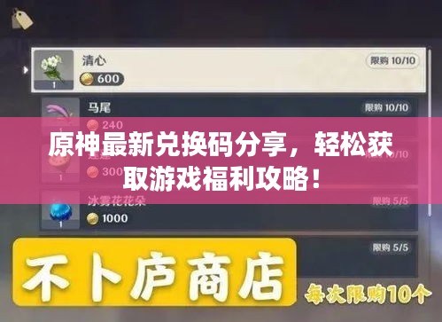 原神最新兌換碼分享，輕松獲取游戲福利攻略！