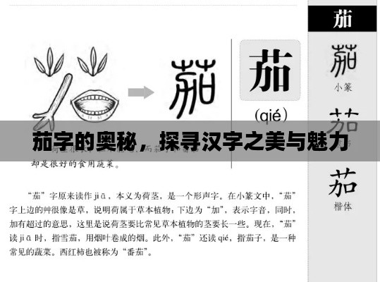 茄字的奧秘，探尋漢字之美與魅力